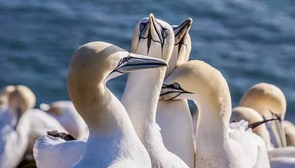 《天国:拯救2》第三款DLC即将上线,全新地图与剧情